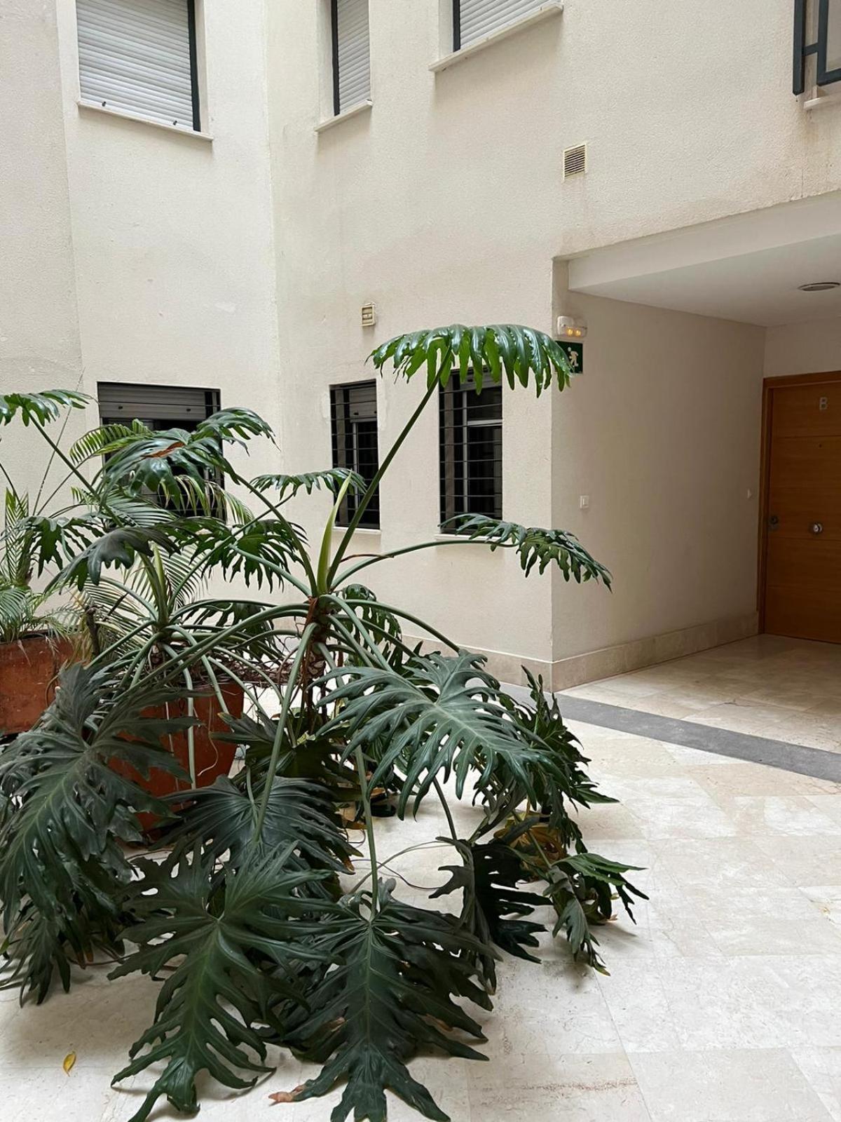 Habitaciones Privadas En Apartamento Compartido Algésiras Extérieur photo